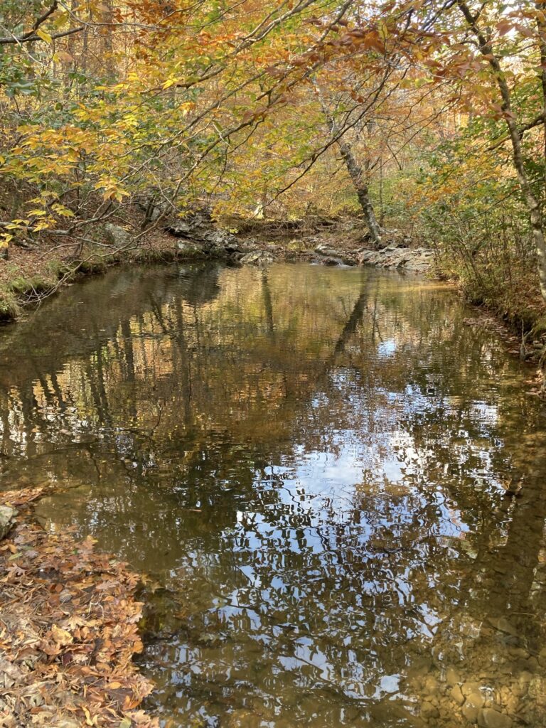 Nice pool on the Little Missouri